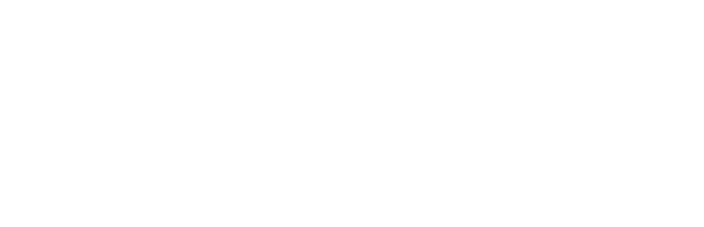 zennison logo