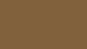81613c solid color background icolorpalette