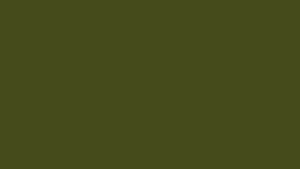 Military Olive Drab Color