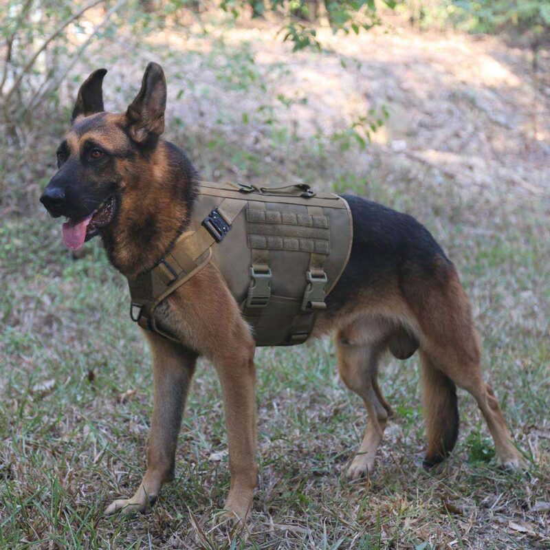 BSCI Supplier Outdoor OEM Durable Adjustable Molle Dog Tactical Vest