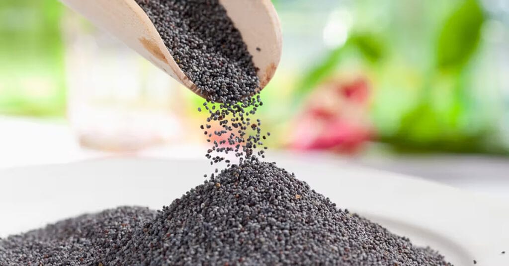 poppy seed consumption